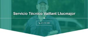 Servicio Técnico Vaillant Llucmajor 971727793