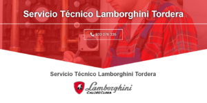Servicio Técnico Lamborghini Tordera 934242687