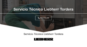 Servicio Técnico Liebherr Tordera 934242687