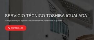 Servicio Técnico Toshiba Igualada 934242687