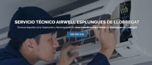 Servicio Técnico Airwell Esplugues de Llobregat 934242687