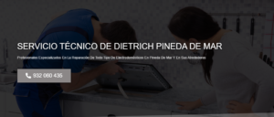 Servicio Técnico De Dietrich Pineda de Mar 934242687