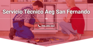 Servicio Técnico   Aeg San fernando 950206887