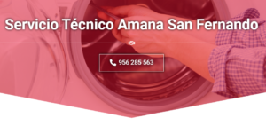 Servicio Técnico   Amana San fernando 950206887