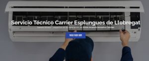 Servicio Técnico Carrier Esplugues de Llobregat 934242687