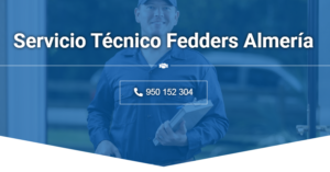 Servicio Técnico Fedders Almeria 950206887