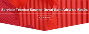 Servicio Técnico Saunier duval Sant adria de besos 934242687