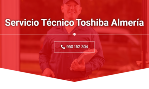 Servicio Técnico Toshiba Almeria 950206887