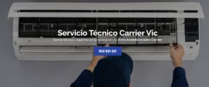 Servicio Técnico Carrier Vic 934242687