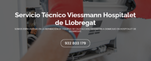 Servicio Técnico Viessmann Hospitalet de Llobregat 934242687
