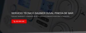 Servicio Técnico Saunier Duval Pineda de Mar 934242687
