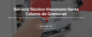 Servicio Técnico Viessmann Santa Coloma de Gramenet 934242687