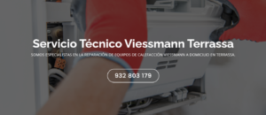 Servicio Técnico Viessmann Terrassa 934242687