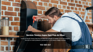 Servicio Técnico Aspes Sant Pere de Ribes 934242687