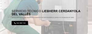 Servicio Técnico Liebherr Cerdanyola del Vallès 934242687