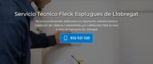 Servicio Técnico Fleck Esplugues de Llobregat 934 242 687