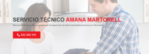 Servicio Técnico Amana Martorell 934242687