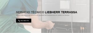 Servicio Técnico Liebherr Terrassa 934242687
