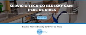 Servicio Técnico Bluesky Sant Pere de Ribes 934242687