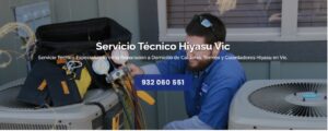 Servicio Técnico Hiyasu Vic 934242687
