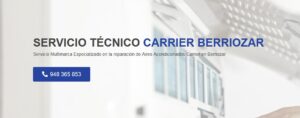 Servicio Técnico Carrier Berriozar 948175042
