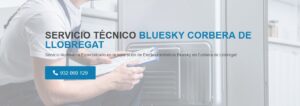 Servicio Técnico Bluesky Corbera de Llobregat 934242687