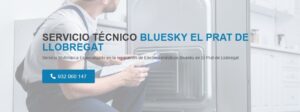 Servicio Técnico Bluesky El Prat de Llobregat 934242687