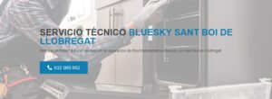 Servicio Técnico Bluesky Sant Boi de Llobregat 934242687