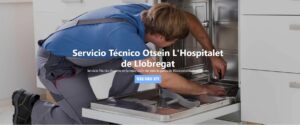Servicio Técnico Otsein Hospitalet de Llobregat 934242687