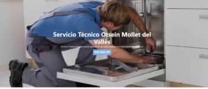 Servicio Técnico Otsein Mollet del Vallès 934242687