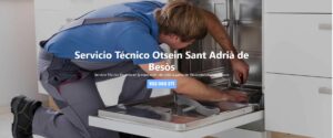 Servicio Técnico Otsein Sant Adrià de Besòs 934242687