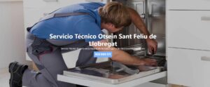 Servicio Técnico Otsein Sant Feliu de Llobregat 934242687