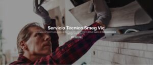 Servicio Técnico Smeg Vic 934242687
