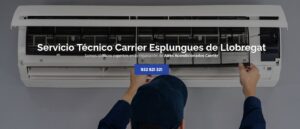 Servicio Técnico Carrier Esplugues de Llobregat 934 242 687