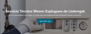 Servicio Técnico Wesen Esplugues de Llobregat 934 242 687