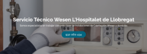 Servicio Técnico Wesen Hospitalet de Llobregat 934242687