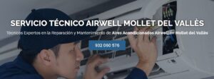 Servicio Técnico Airwell Mollet del Vallès 934 242 687