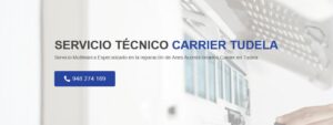 Servicio Técnico Carrier Tudela 948175042