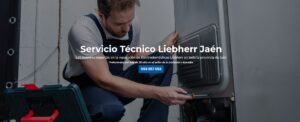 Servicio Técnico Liebherr Jaén 953274259