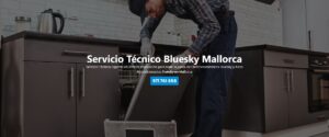 Servicio Técnico Bluesky Mallorca 971727793