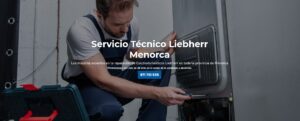 Servicio Técnico Liebherr Menorca 971727793
