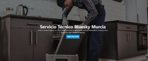 Servicio Técnico Bluesky Murcia 968217089