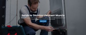 Servicio Técnico Liebherr Murcia 968217089