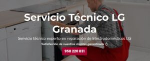 Servicio Técnico LG Granada 958210644