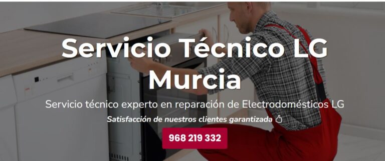 N1 (#ID:76742-76741-medium_large)  Servicio Técnico LG Murcia 968217089 de la categoria Reparacion Electrodomesticos y que se encuentra en Murcia, Unspecified, 1, con identificador unico - Resumen de imagenes, fotos, fotografias, fotogramas y medios visuales correspondientes al anuncio clasificado como #ID:76742