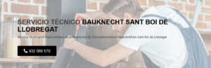 Servicio Técnico Bauknecht Sant Boi de Llobregat 934242687