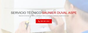 Servicio Técnico Saunier Duval Aspe 965217105