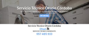Servicio Técnico Otsein Córdoba 957487014