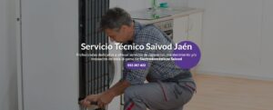 Servicio Técnico Saivod Jaén 953274259