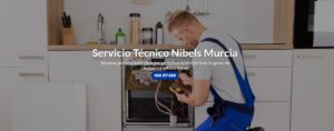 Servicio Técnico Nibels Murcia 968217089